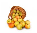 Basket-Of-Apples-10201364E79F3966